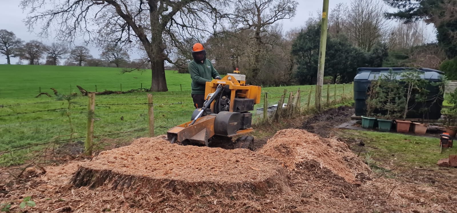 Mini digger hire in Lewisham for stump removal and groundworks